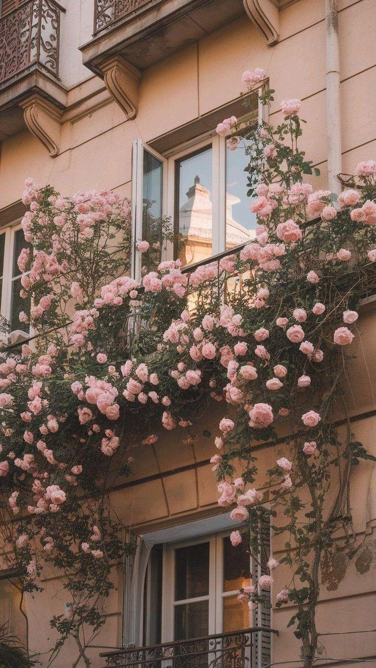 Twilight Caress: Evening Shades Flower Collection